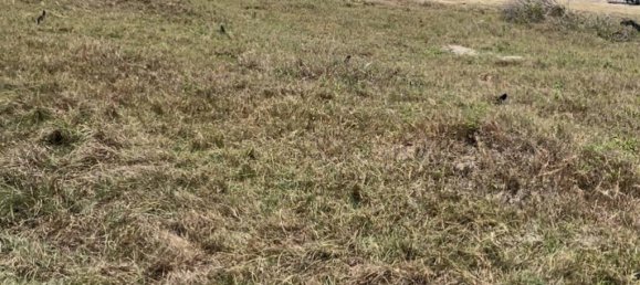 Gewerbliche Immobilie in Kui Buri, Thailand, Nr. 16910 4