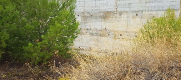 Terreno en Benalmádena, Spain 1900 m² No. 146869 21