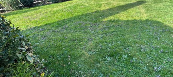 Terreno en Pforzheim, Germany No. 330345 2