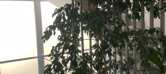 4غرفة بانتهاوس في Wuppertal, Germany رقم 55207 7