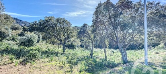 Terreno en Porto-Vecchio, France No. 81269 2
