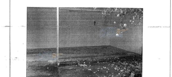 5-Zimmer Haus in Sardinia, Italy, Nr. 249169 20