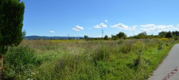 Terreno em Wiener Neustadt, Austria 1930 m² N.º 240343 6