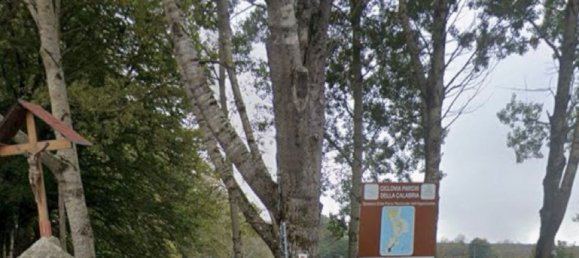 Terrain à Reggio Calabria, Italy No. 371069 10