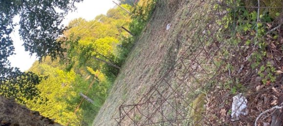 Terrain à Reggio Calabria, Italy No. 371069 12