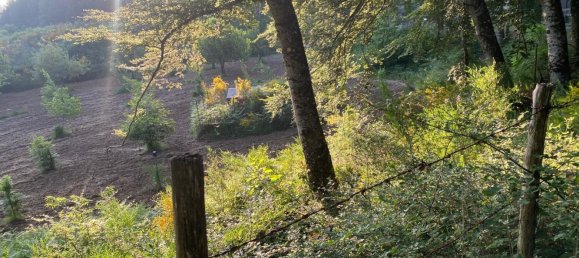 Terrain à Reggio Calabria, Italy No. 371069 9