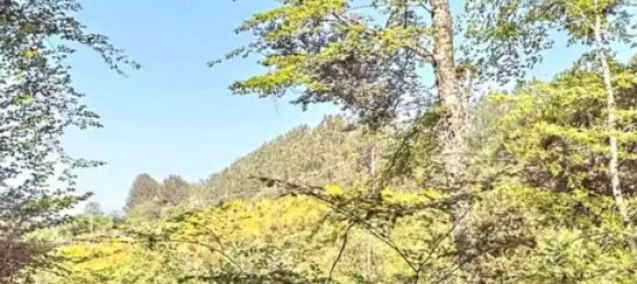 Terrain à Reggio Calabria, Italy No. 371069 13