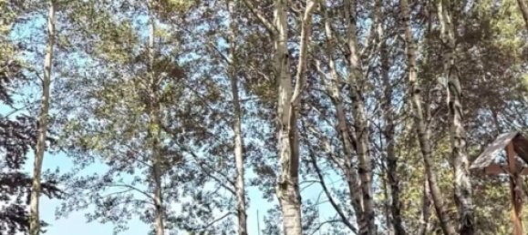 Terrain à Reggio Calabria, Italy No. 371069 8