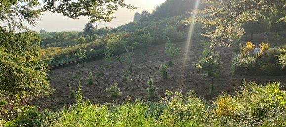 Terrain à Reggio Calabria, Italy No. 371069 15