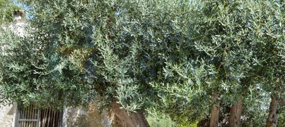 Casa T1 em Noto, Italy N.º 296974 20