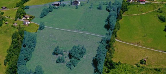 8 rooms House in Steinfeld, Austria No. 78745 8