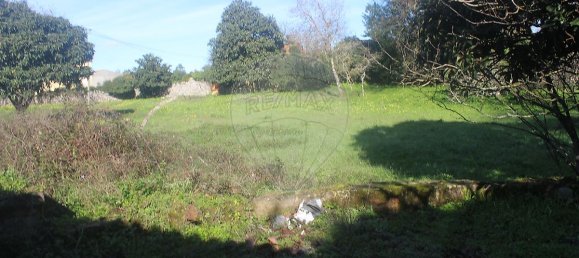 3 bedrooms House in Ansiao, Portugal No. 22765 7