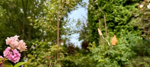 Terreno en Rostock, Germany No. 357295 17