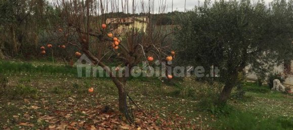 640m² Land in Cupello, Italy No. 237211 12