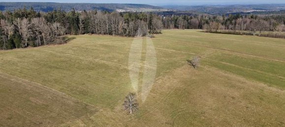 4غرفة منزل في Baden-Wurttemberg, Germany رقم 96200 27