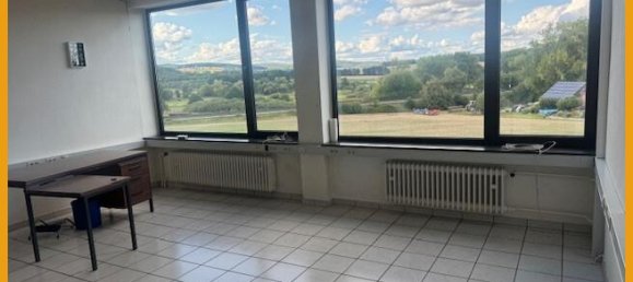 4533m² Commercial property in Schwalm-Eder, Germany No. 327283 16