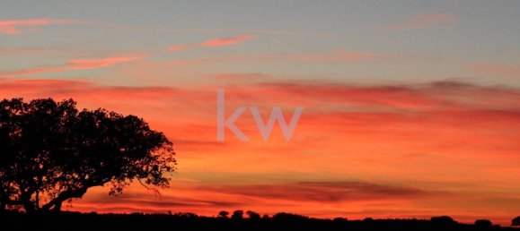 8 chambres Maison à Beja, Portugal No. 41705 50