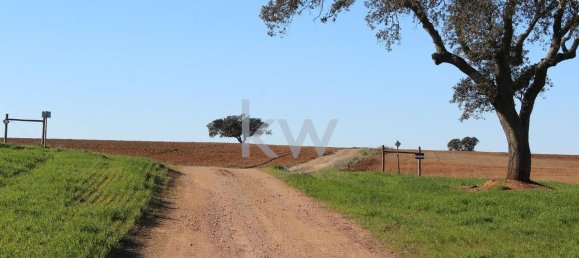 8 chambres Maison à Beja, Portugal No. 41705 49