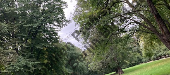 2 Schlafzimmer Wohnung in Leipzig, Germany, Nr. 56466 12