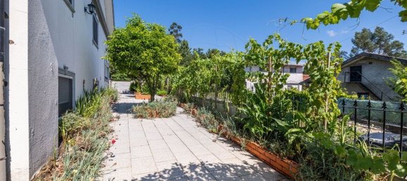 6 bedrooms House in Amares, Portugal No. 169975 14