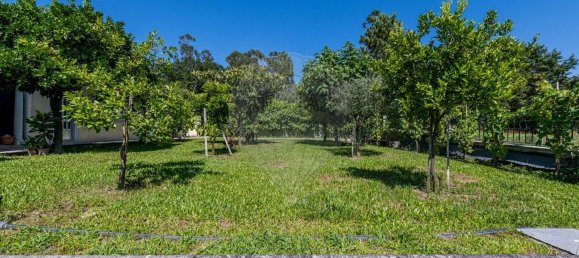 6 bedrooms House in Amares, Portugal No. 169975 16