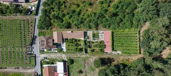 6 bedrooms House in Amares, Portugal No. 169975 24