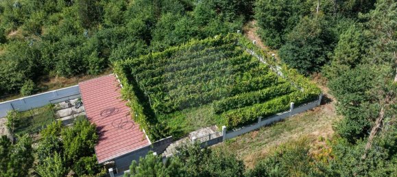 6 bedrooms House in Amares, Portugal No. 169975 27