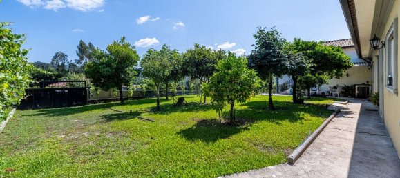 6 bedrooms House in Amares, Portugal No. 169975 18