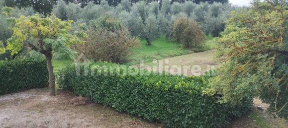 3 Schlafzimmer Haus in Empoli, Italy, Nr. 132459 12