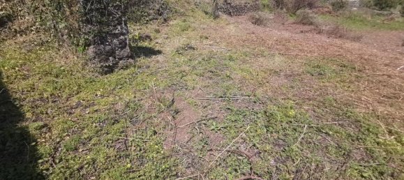 4غرفة منزل في Piedimonte Etneo, Italy رقم 67062 11