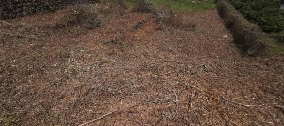 4غرفة منزل في Piedimonte Etneo, Italy رقم 67062 2