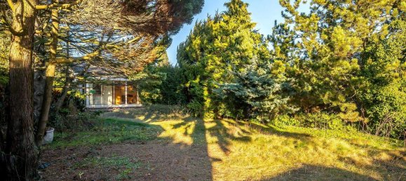 2 rooms House in Neufeld an der Leitha, Austria No. 179360 28