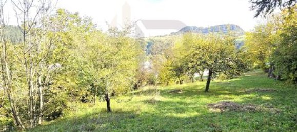 4 bedrooms House in Lozere, France No. 302855 6