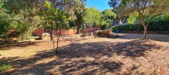 4-salle Appartement à Olbia, Italy No. 238257 14