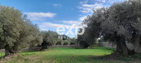 Дом с 5 комнатами в Розолини, Италия № 82570 8