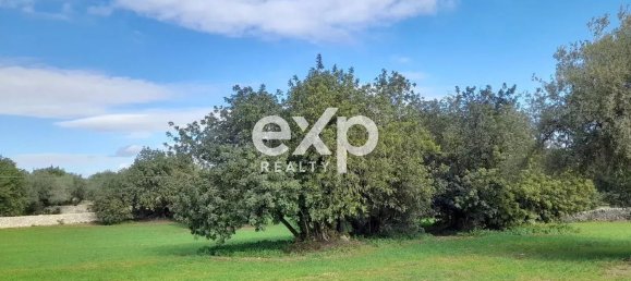 Дом с 5 комнатами в Розолини, Италия № 82570 9