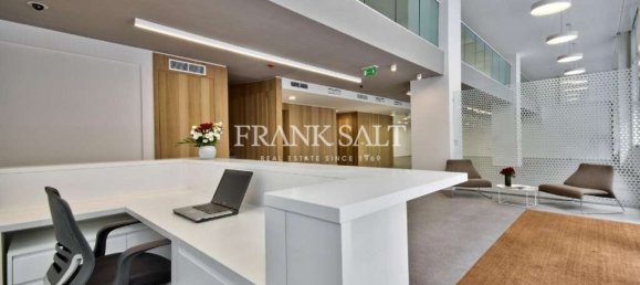 339m² Office in Saint Julian's, Malta No. 12355 6