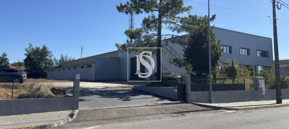 Gewerbliche Immobilie in Tondela, Portugal 1710m², Nr. 228345 6