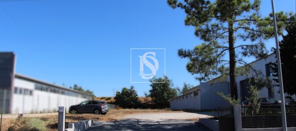 Gewerbliche Immobilie in Tondela, Portugal 1710m², Nr. 228345 5