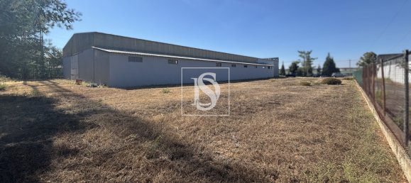 Gewerbliche Immobilie in Tondela, Portugal 1710m², Nr. 228345 9