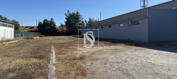 Gewerbliche Immobilie in Tondela, Portugal 1710m², Nr. 228345 8