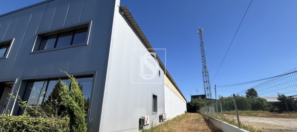 Gewerbliche Immobilie in Tondela, Portugal 1710m², Nr. 228345 4