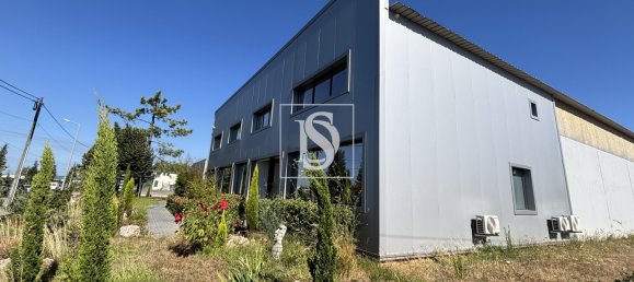 Gewerbliche Immobilie in Tondela, Portugal 1710m², Nr. 228345 3