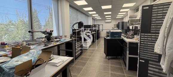 Gewerbliche Immobilie in Tondela, Portugal 1710m², Nr. 228345 33