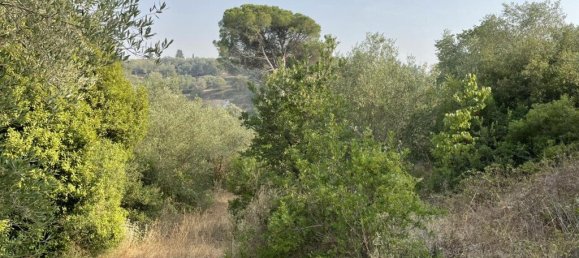 21000m² Hotel in Corfu, Greece No. 3808 19