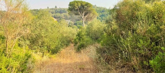 21000m² Hotel in Corfu, Greece No. 3808 16