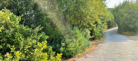 21000m² Hotel in Corfu, Greece No. 3808 10