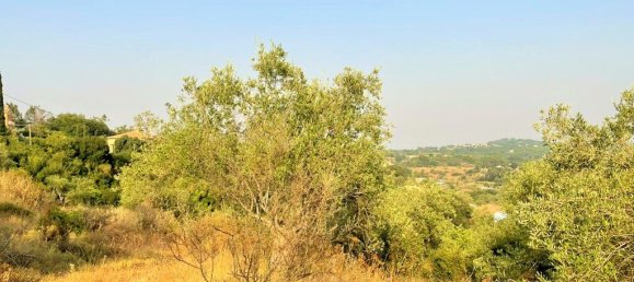 21000m² Hotel in Corfu, Greece No. 3808 7