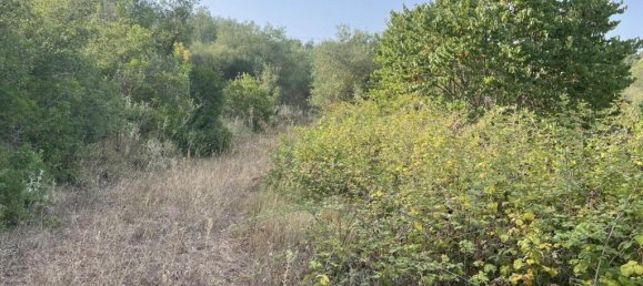 21000m² Hotel in Corfu, Greece No. 3808 21