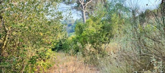 21000m² Hotel in Corfu, Greece No. 3808 18